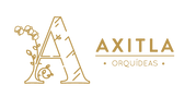 logo inicio-01.png