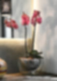 Miniatura: Glass 2 varas